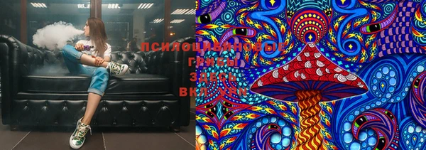 ПСИЛОЦИБИНОВЫЕ ГРИБЫ Арсеньев