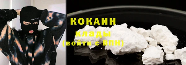 ПСИЛОЦИБИНОВЫЕ ГРИБЫ Арсеньев