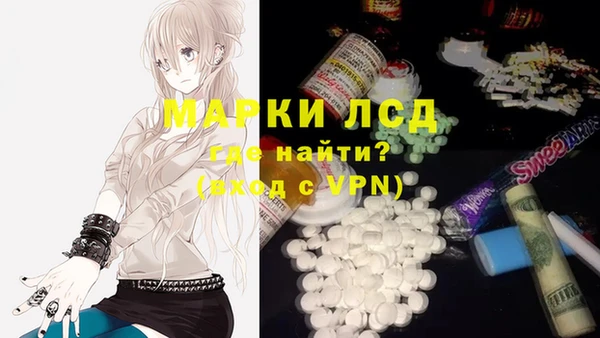 стаф Покров